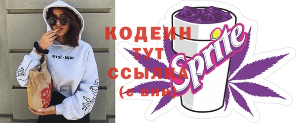 прущий лед Абаза