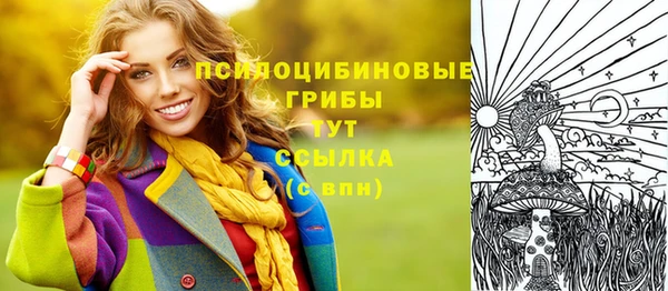 ECSTASY Абдулино