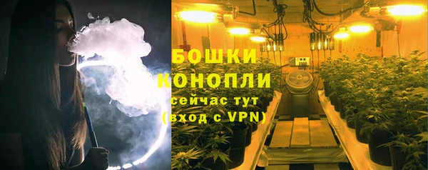 прущий лед Абаза